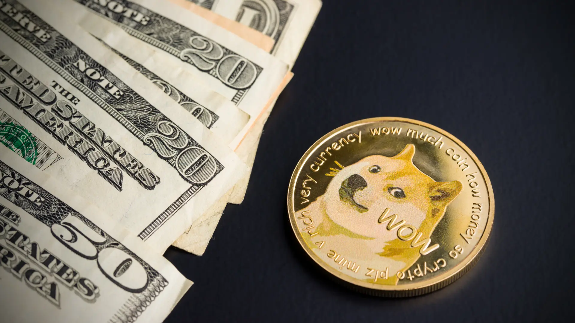 Una sola persona acumula el 28% de los dogecoin en circulación