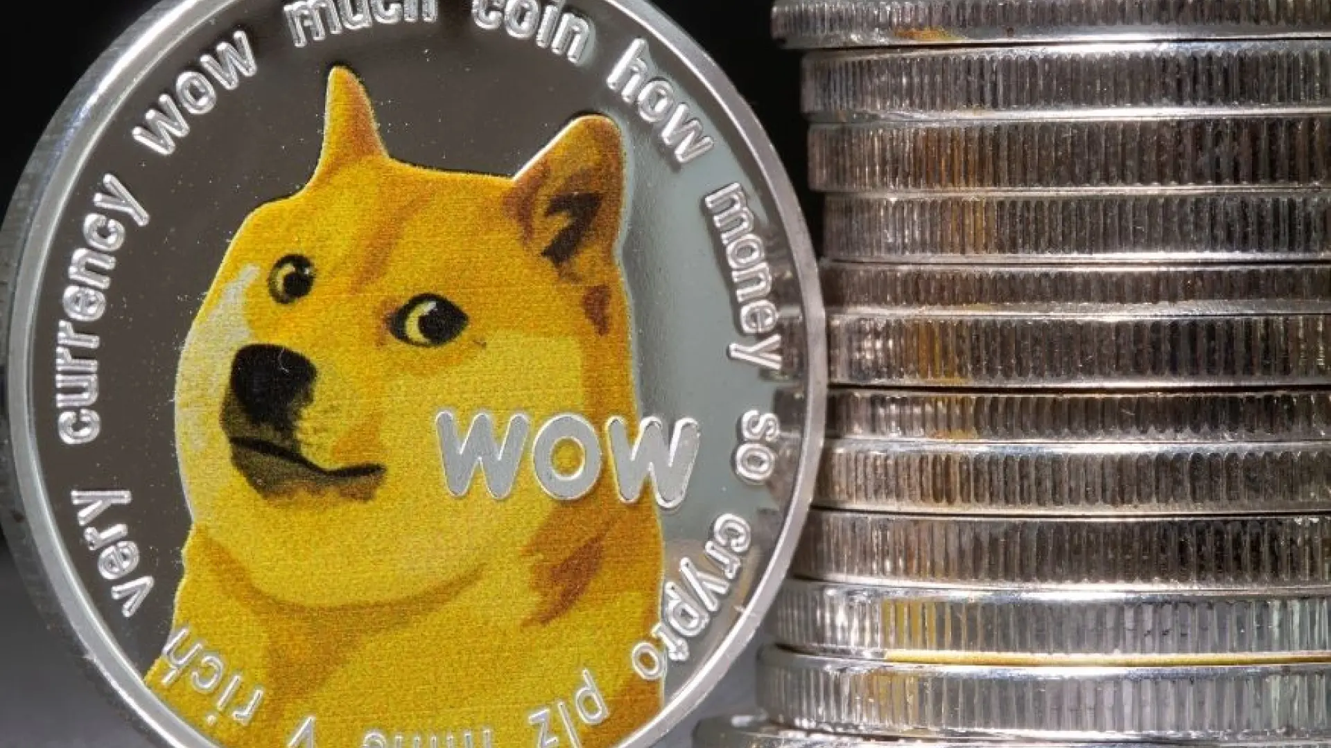 Cuánto dinero habrías ganado al invertir 1.000 euros en Shiba Inu en octubre