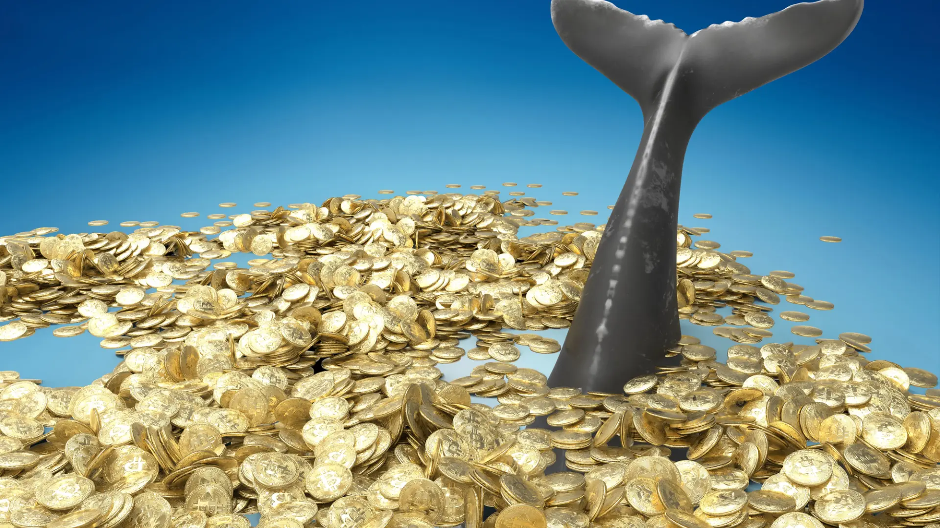 Las ballenas acumulan bitcoin: ¿aumentará su precio?