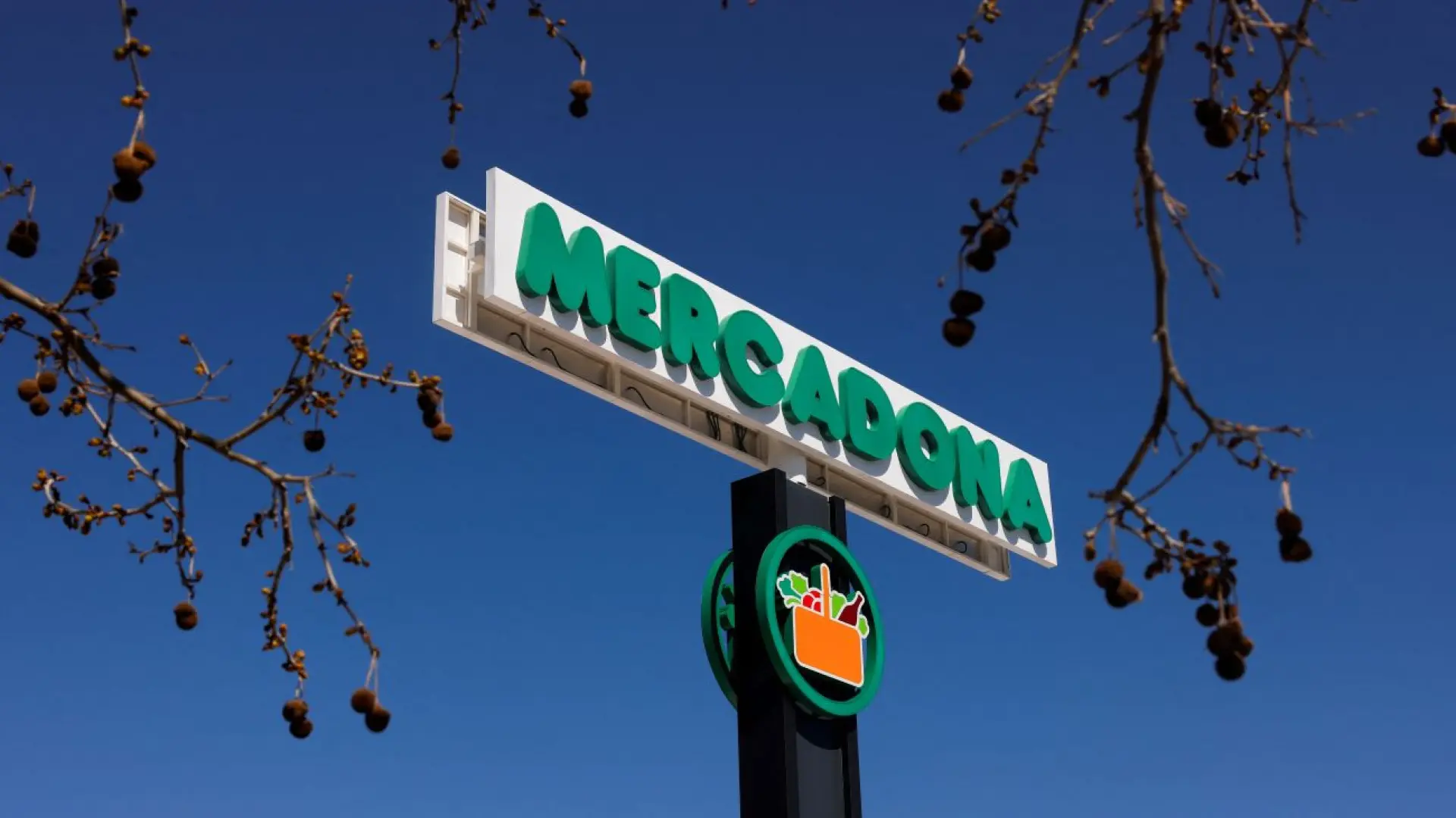 Mercadona da un impulso a su transformación digital con una inversión de  250 millones de euros