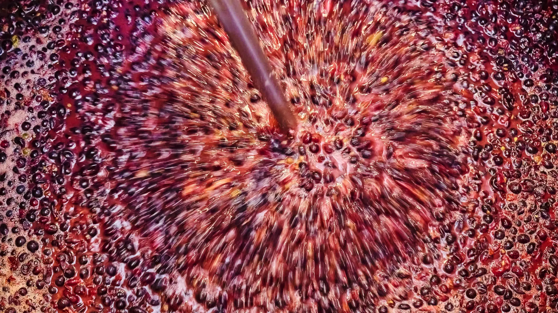 La IA llega al vino: el CSIC desarrolla un gemelo digital para optimizar la fermentación