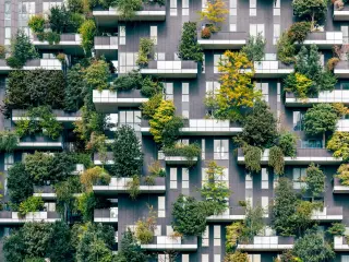 Sostenibilidad en las empresas